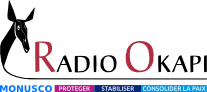 Site partenaire — RDC / Congo